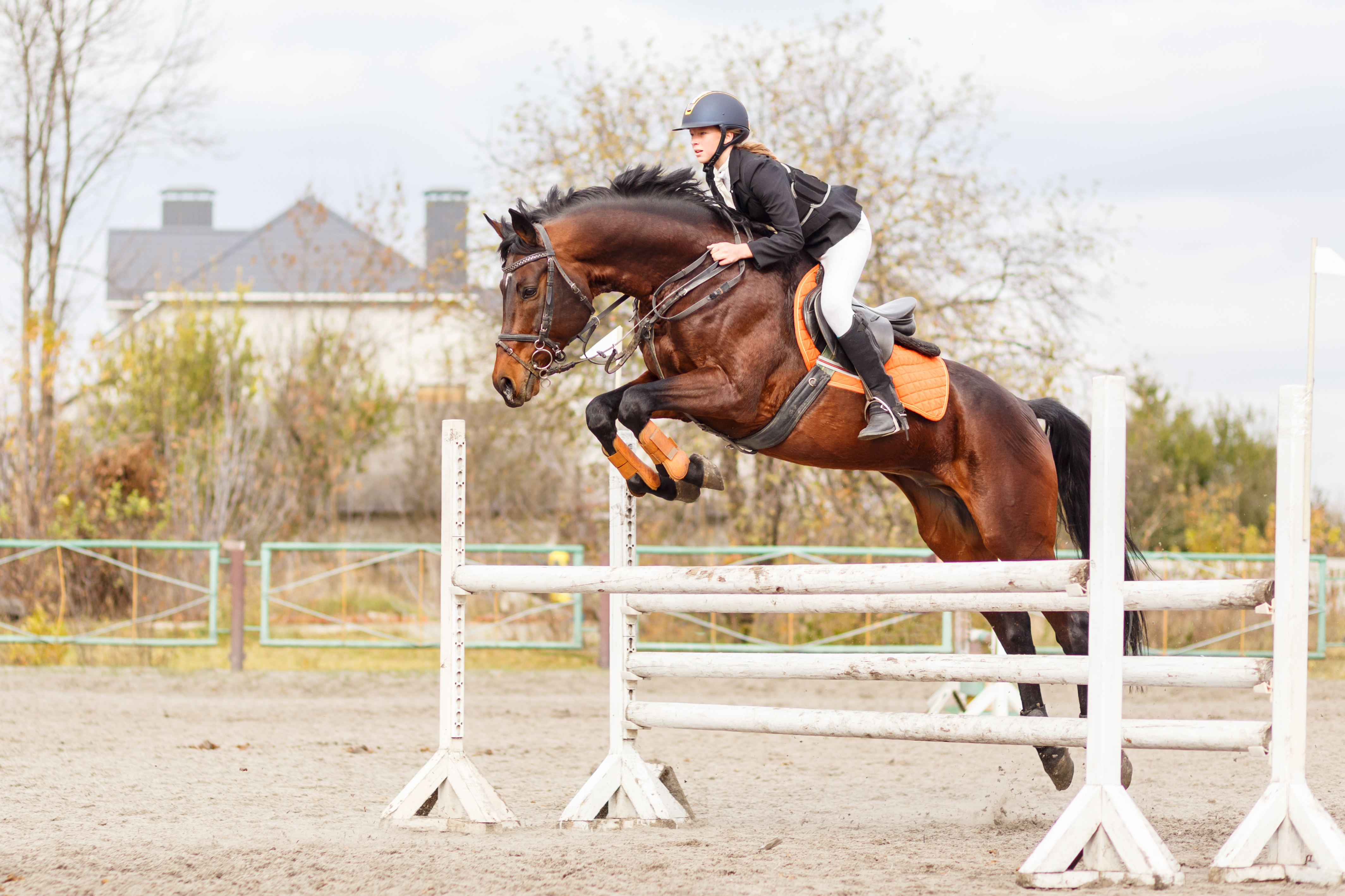 Young female rider on bay horse jump over hurdle