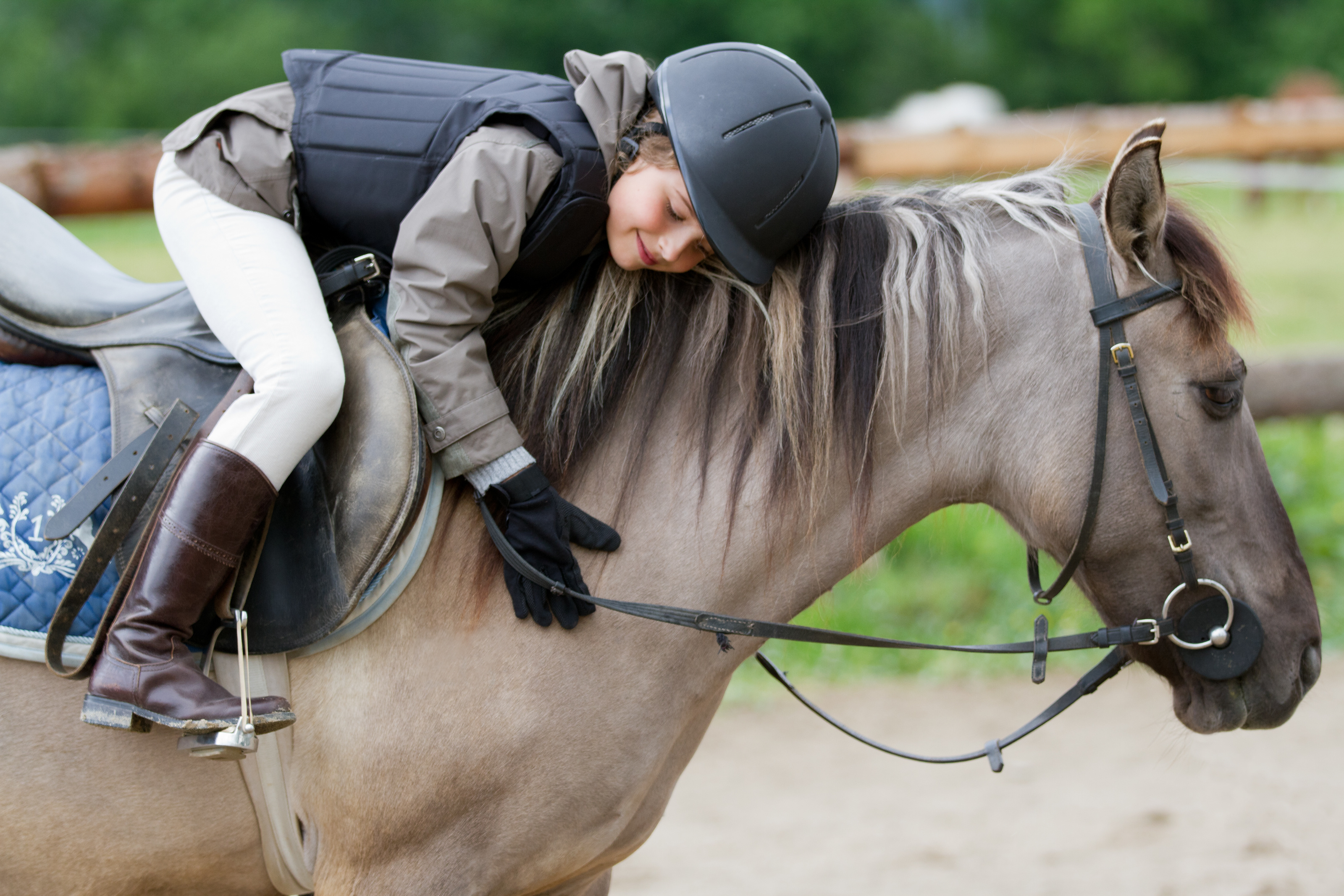 Horse riding - lovely equestrian on a horse